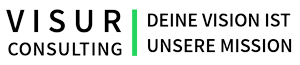 VISUR CONSULTING Logo